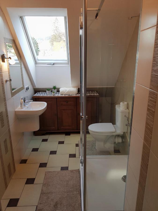 Апартаменты Apartament W Sercu Ustrzyk Устшики-Дольне Экстерьер фото